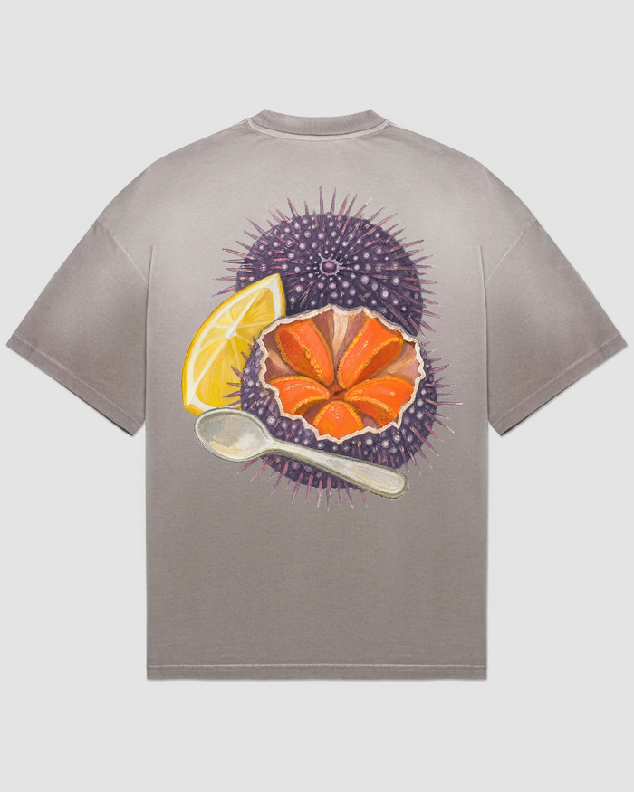 bee. SEA URCHINS - Stone