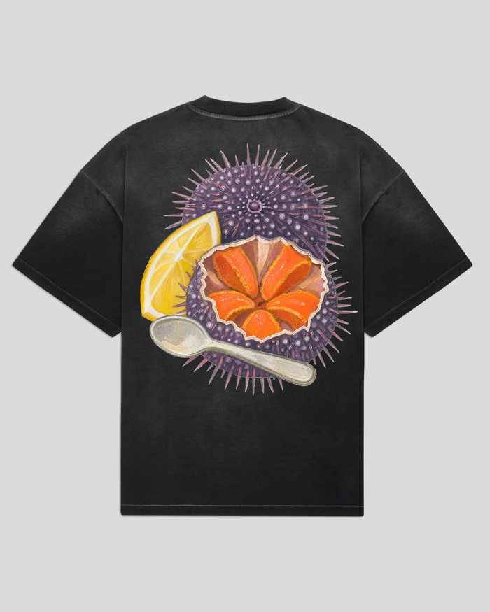 bee. SEA URCHINS - Black